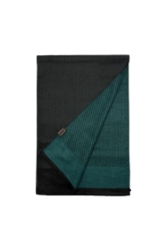Green Polka Dot Reversable Mens Scarf